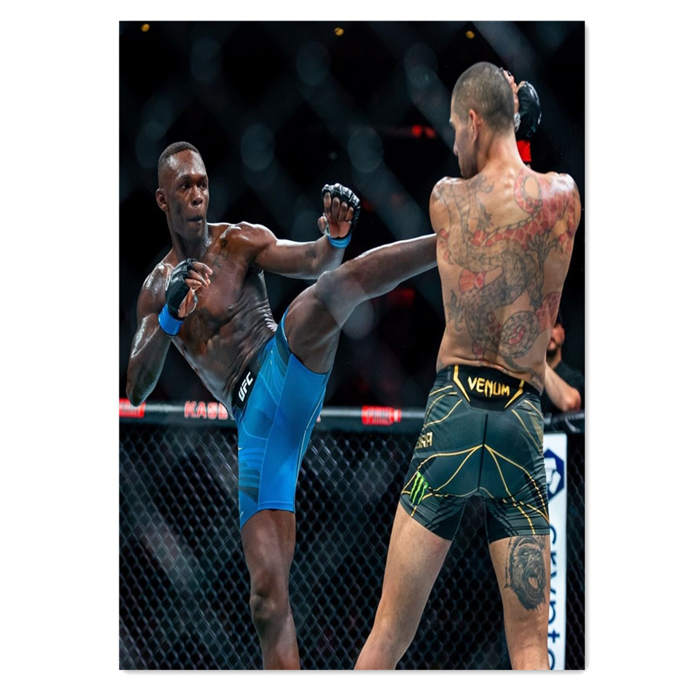 Boxing Bodybuilder Canvas Pain - Home Gym Wallpaper 评论和价格