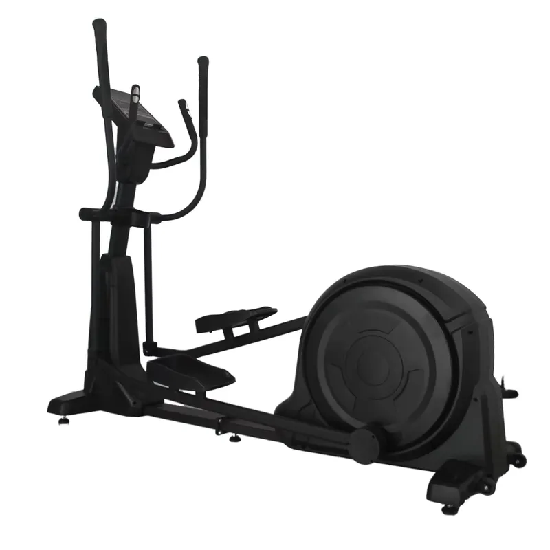 Commercial Electric Rotary Bic - Home Gym Cost 评论和价格